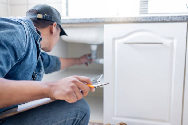 Best Pipe Repair Near Me  in Medford, MN